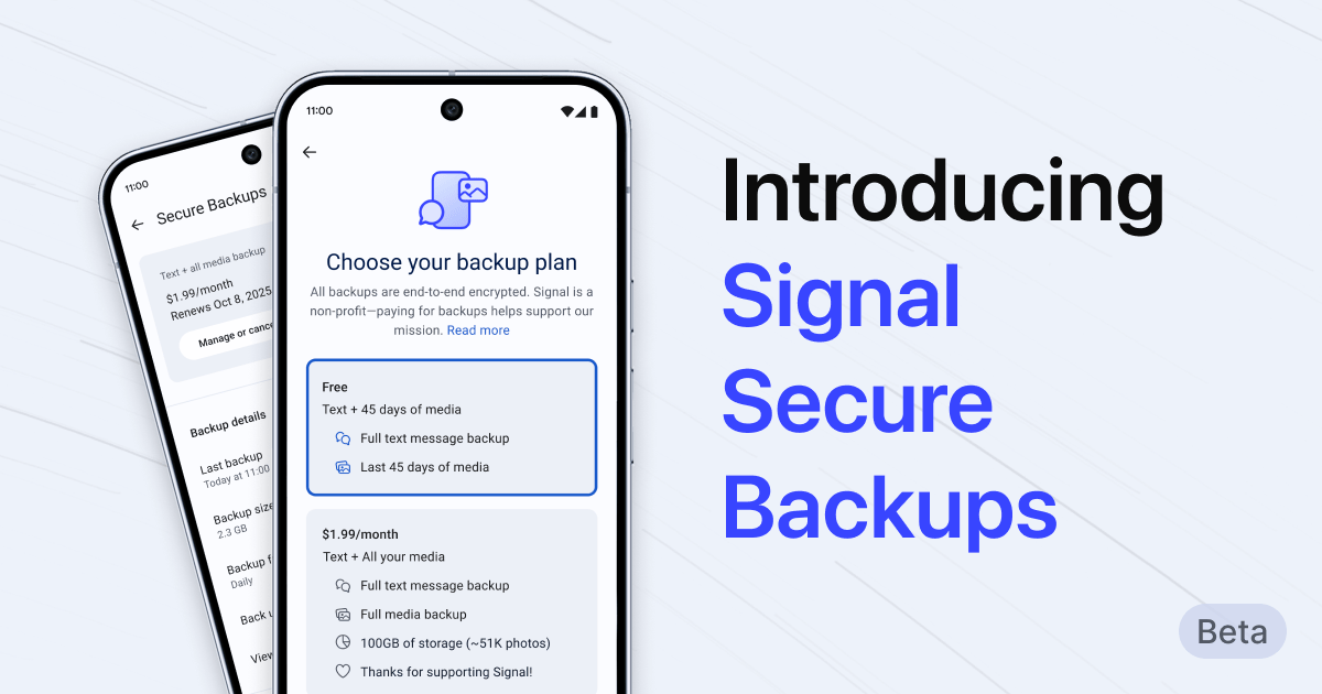 Italian WS detection applications